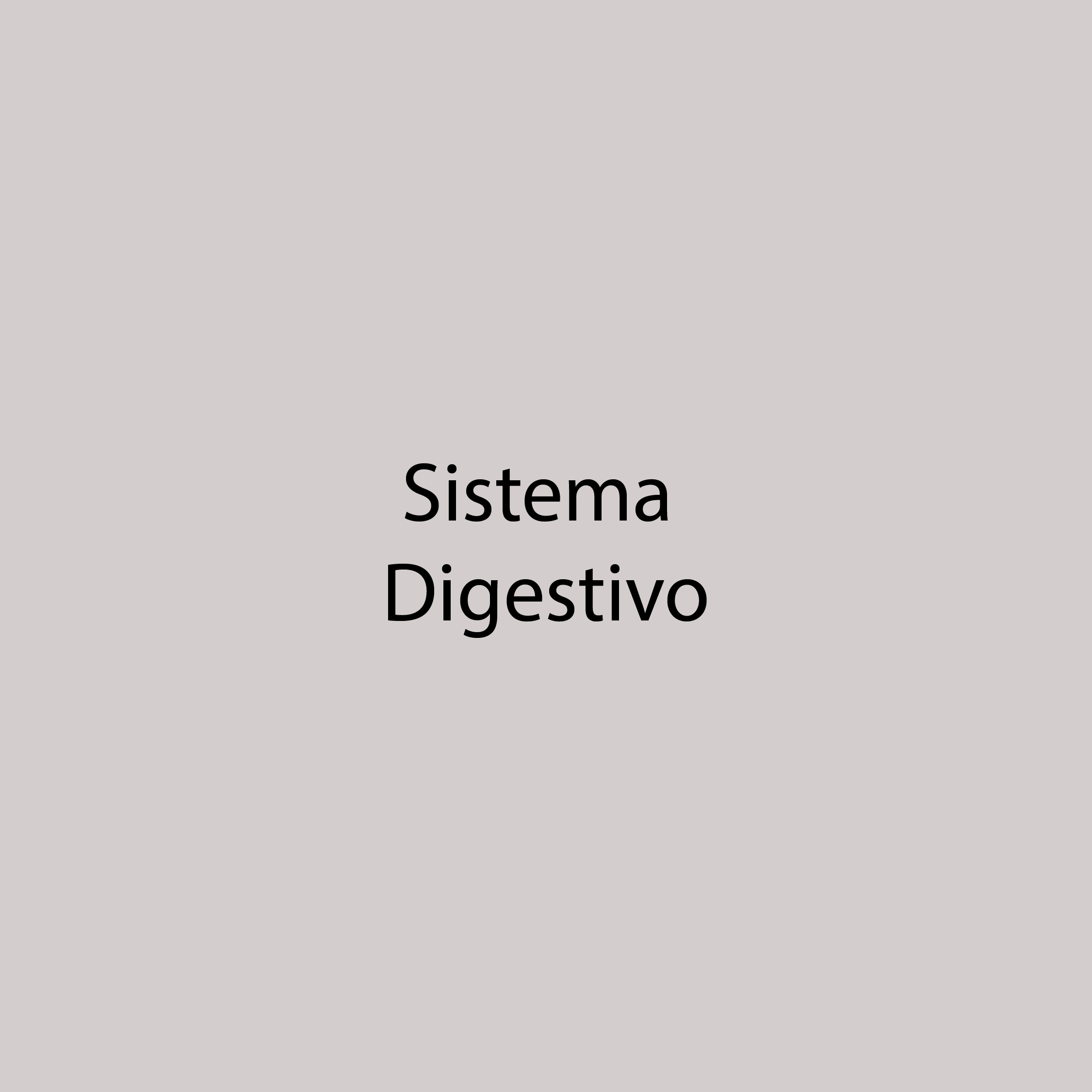 5058405 [Recuperado] fondo-07