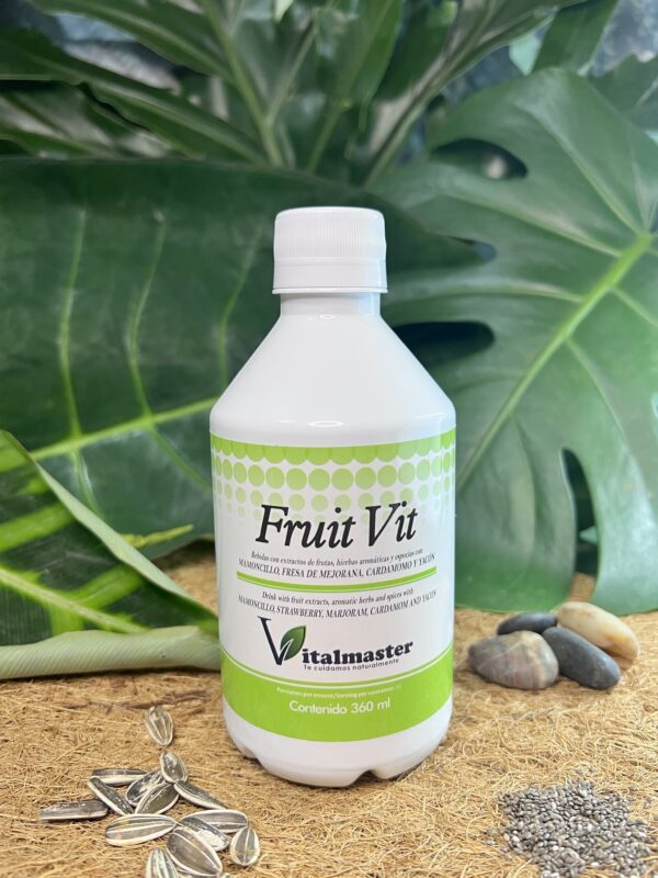 FRUIT VIT JBE X 360 ML - Imagen 5