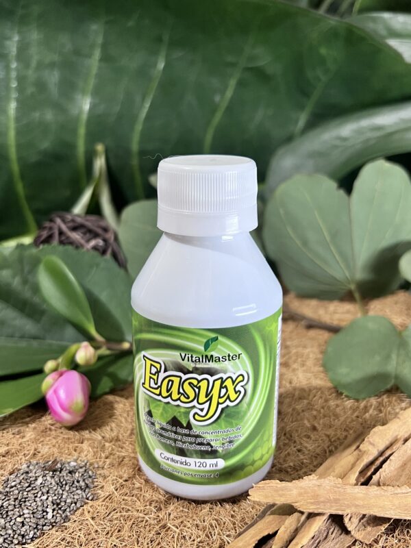 EASYX X 120 ML - Imagen 4
