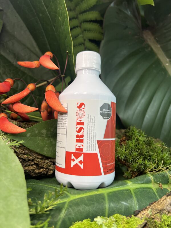 XERSFOS JBE X 360 ML - Imagen 3