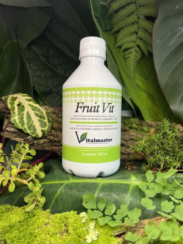 FRUIT VIT JBE X 360 ML - Imagen 4