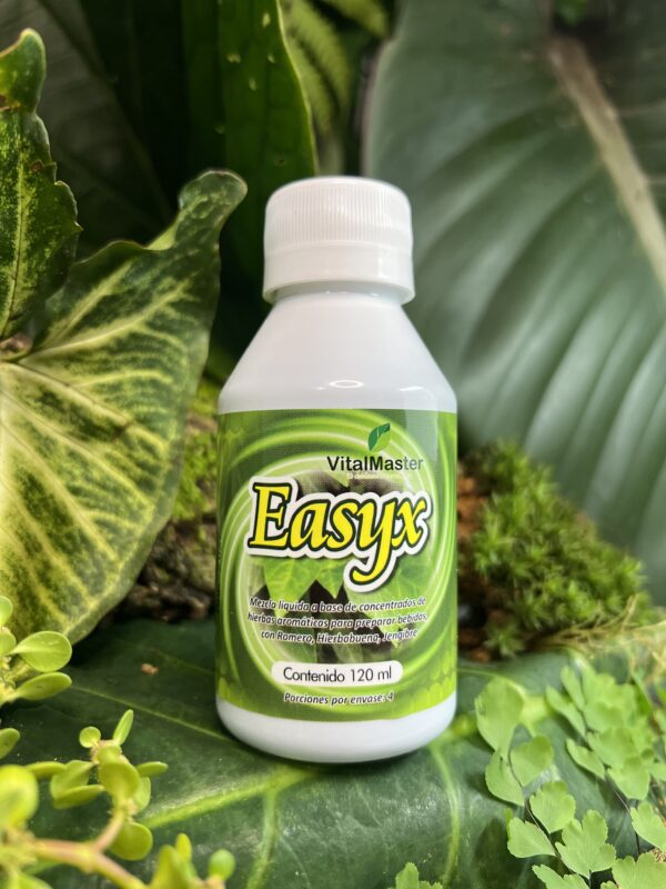EASYX X 120 ML - Imagen 2