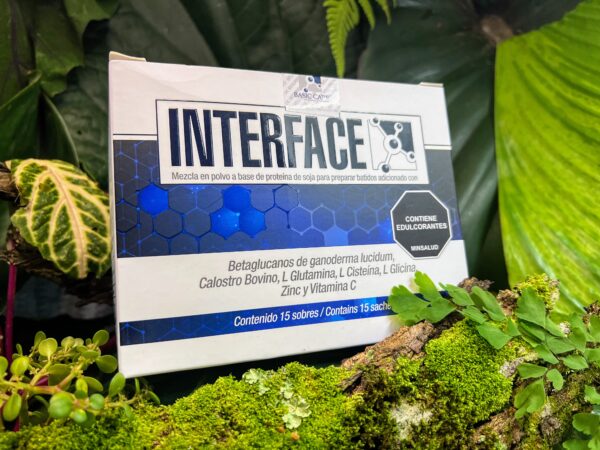 INTERFACE - Imagen 3
