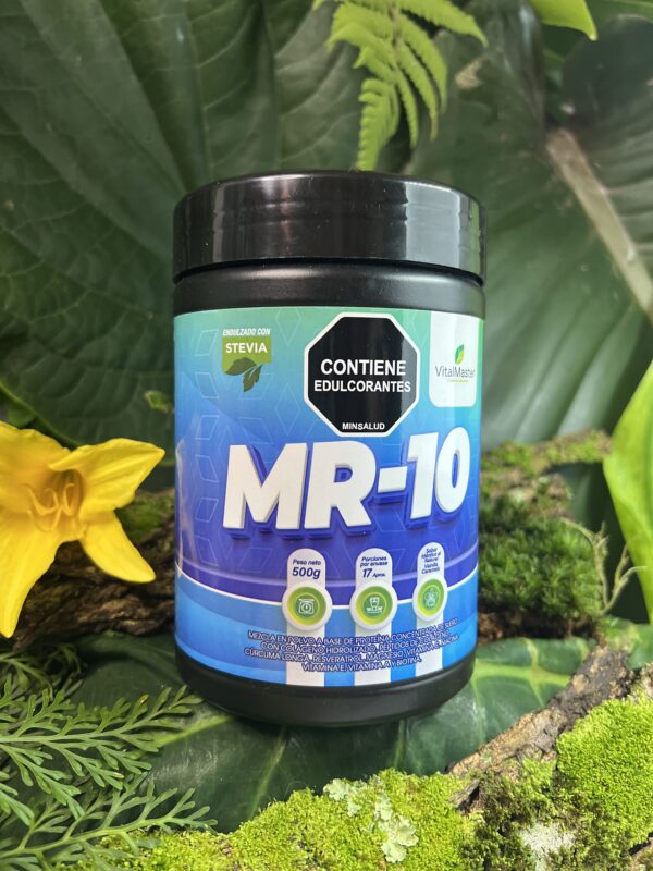 MR-10 X 500 GR - Imagen 2