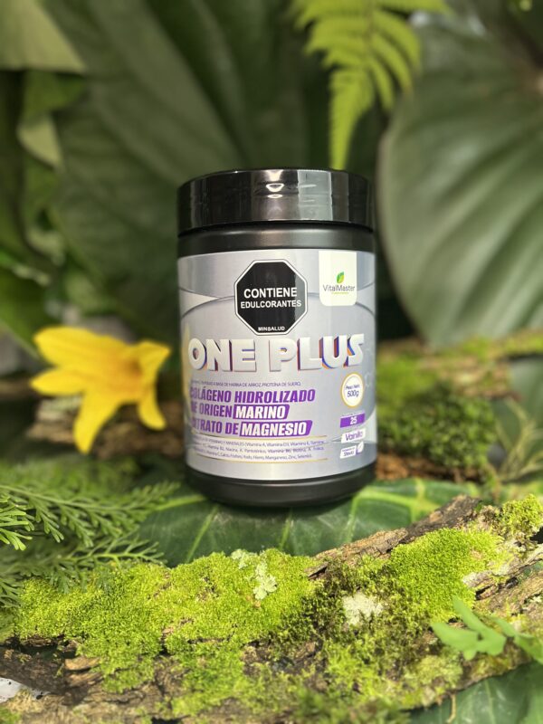 ONE PLUS X 500 GR - Imagen 3