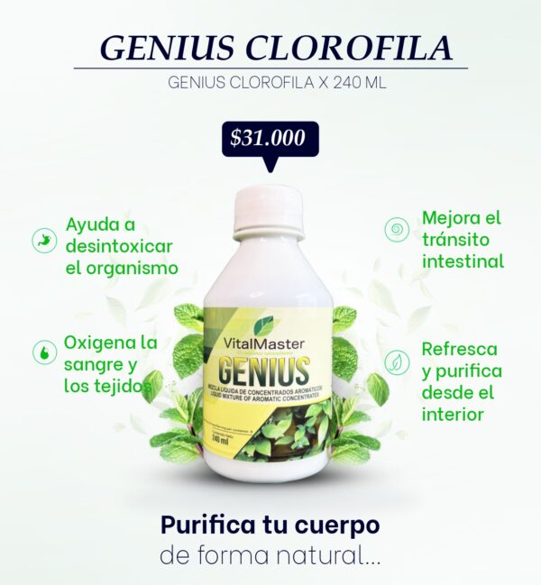 CLOROFILA X 240 ML - Imagen 5