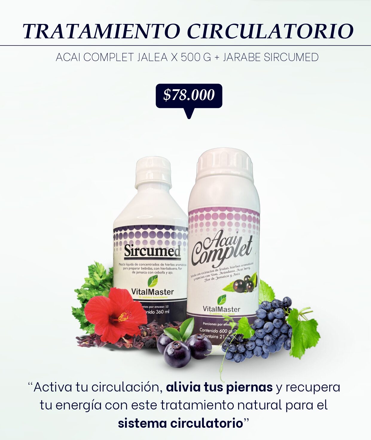 VITALMASTER TRATAMIENTOS Y PAQUETES CATALOGO_page-0010