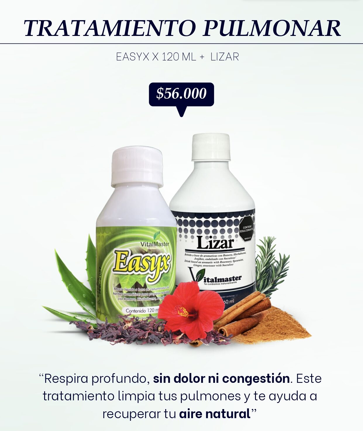 VITALMASTER TRATAMIENTOS Y PAQUETES CATALOGO_page-0012 (1)
