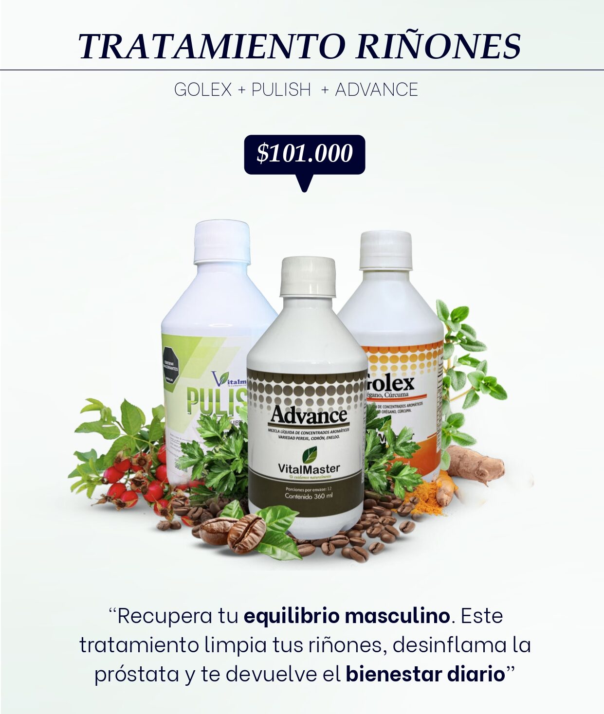 VITALMASTER TRATAMIENTOS Y PAQUETES CATALOGO_page-0016
