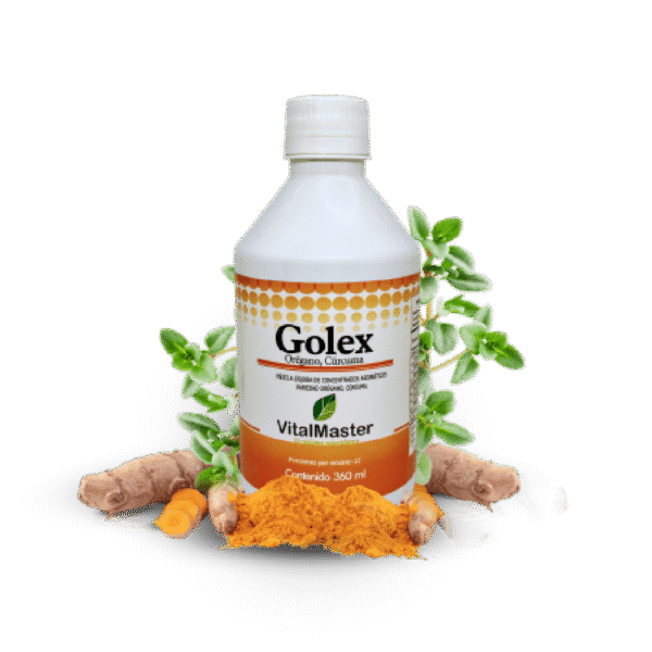 GOLEX JBE X 360 ML