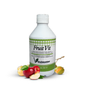 FRUIT VIT JBE X 360 ML