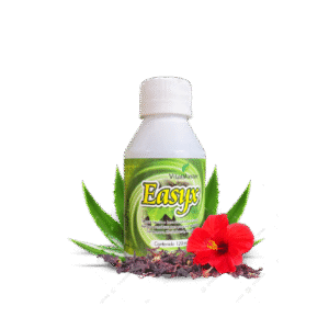 EASYX X 120 ML