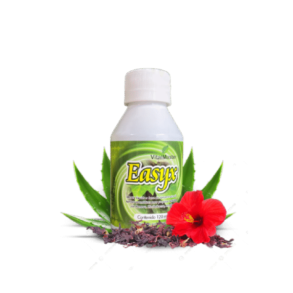 EASYX X 120 ML