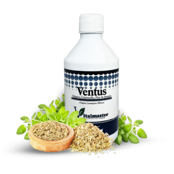 VENTUS JBE X 360