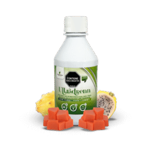 ULSEBIDEN X 360 ML