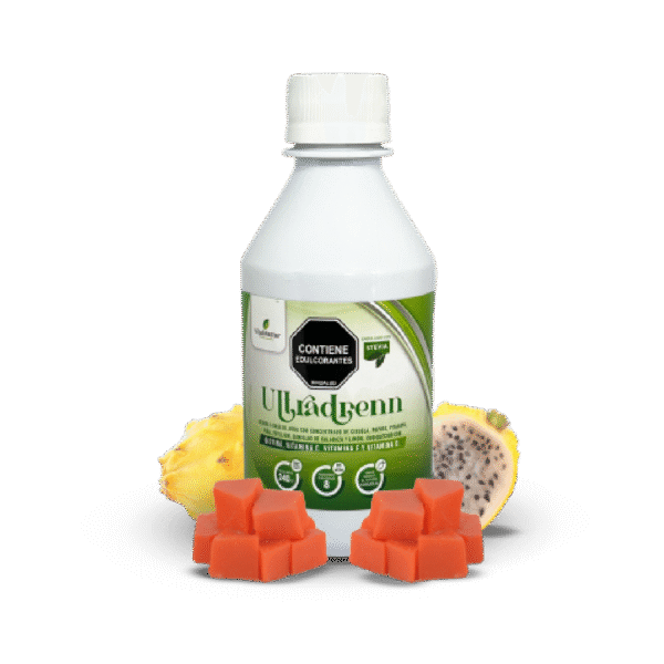 ULSEBIDEN X 360 ML